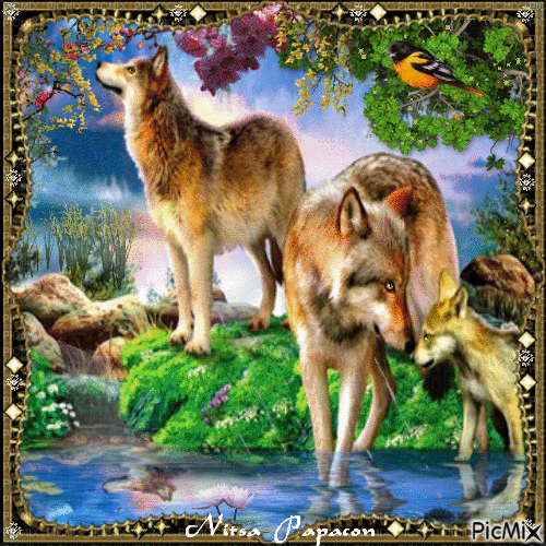 Painting of wolves .. - Безплатен анимиран GIF