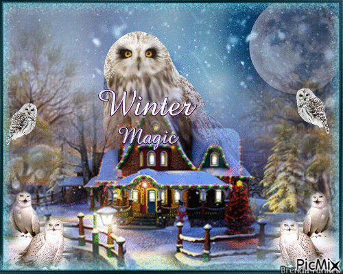 winter owl - Zdarma animovaný GIF