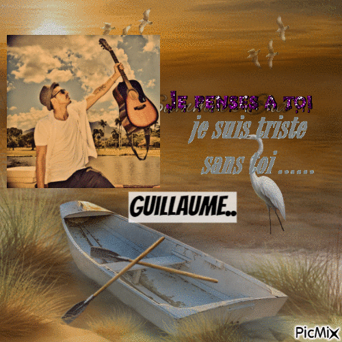 guillaume - GIF animé gratuit
