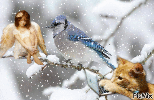 anděl a kočka - GIF animado gratis
