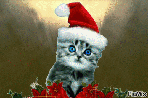 Christmas gif - Ingyenes animált GIF