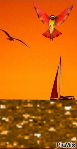 Cielo anaranjado - Besplatni animirani GIF