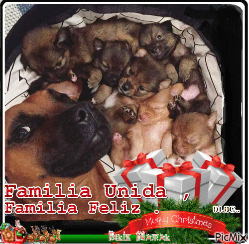 Familia unida - Δωρεάν κινούμενο GIF