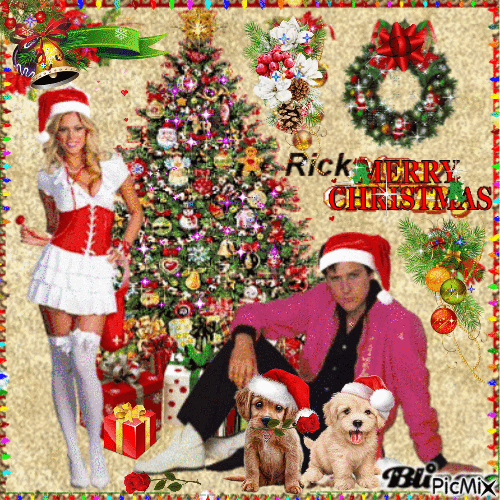 Have a Shaken rock and roll Christmas   by xRick7701x - Ingyenes animált GIF