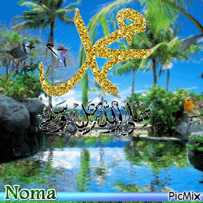 noma - GIF animé gratuit