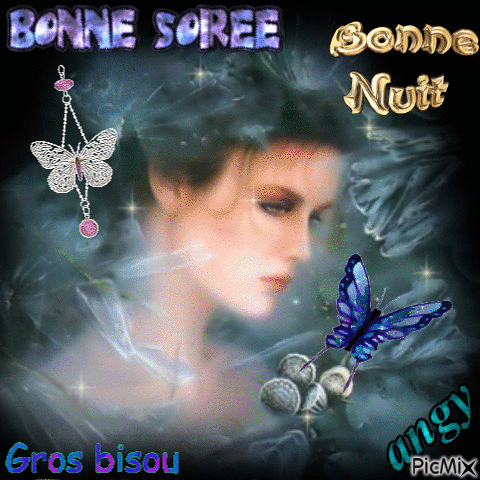 bonne soiree - Безплатен анимиран GIF