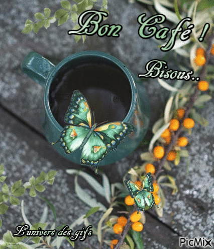 bon café udg - Darmowy animowany GIF