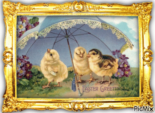 Easter, chickens - Безплатен анимиран GIF