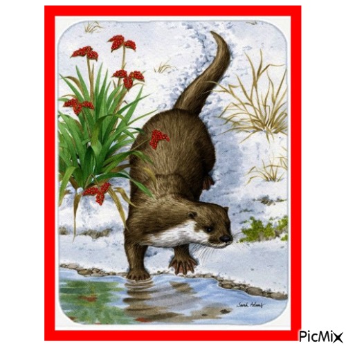 LOUTRE - Free PNG