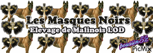 Les Masques Noirs - Бесплатни анимирани ГИФ