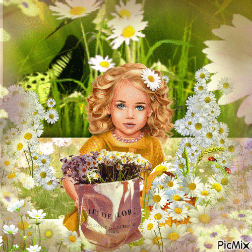 Daisy in daisies - Ingyenes animált GIF