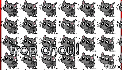 Petit chaton! - Animovaný GIF zadarmo