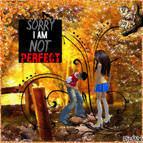 Sorry I Am Not Perfect - Free animated GIF