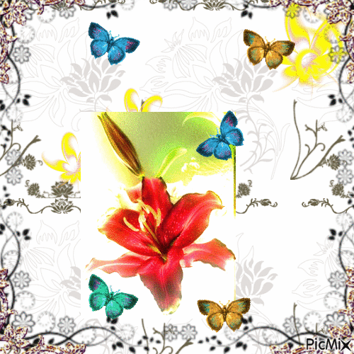 Бабочки. - GIF animado gratis