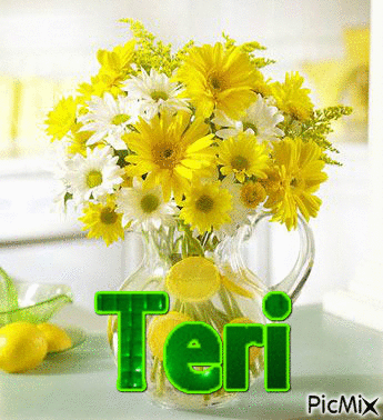 Teri's name - 免费动画 GIF