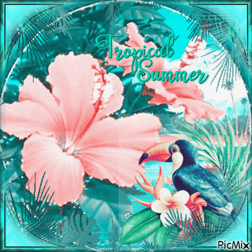 Tropical summer - Darmowy animowany GIF