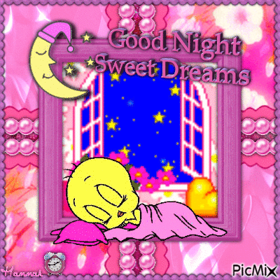 {♥}Good Night & Sweet Dreams with Tweety Pie{♥} - Безплатен анимиран GIF