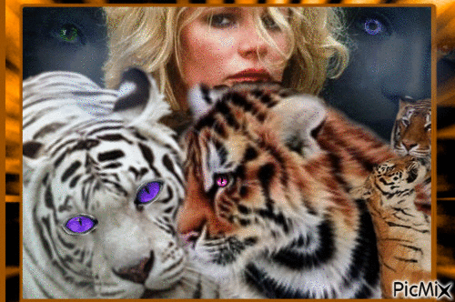 Contest... Tiger, woman, - Free animated GIF