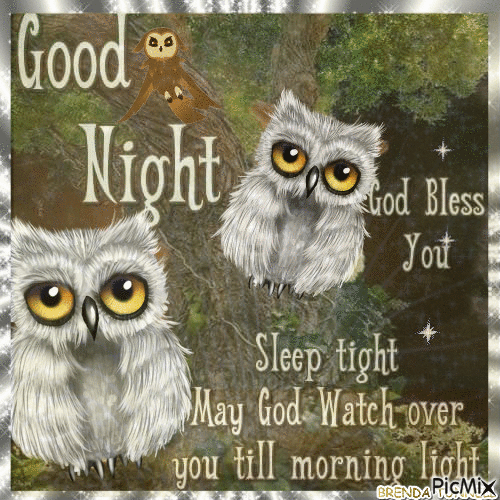 GOOD NIGHT OWL 2 - Nemokamas animacinis gif