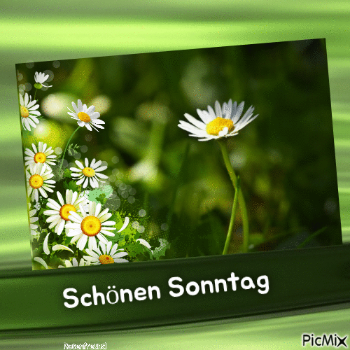 Schönen Sonntag - Animovaný GIF zadarmo