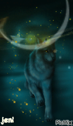wolf and moon - 免费动画 GIF