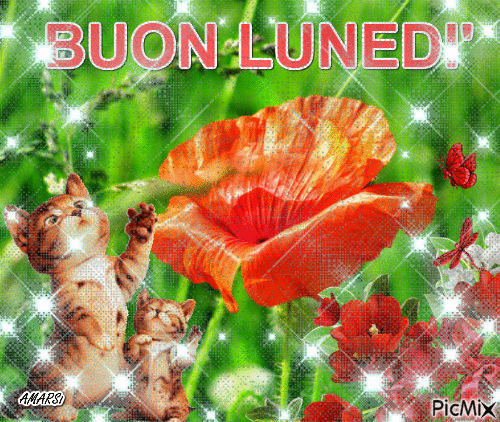 BUON LUNEDÌ - Bezmaksas animēts GIF