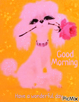 Good Morning, poodle - Free animated GIF