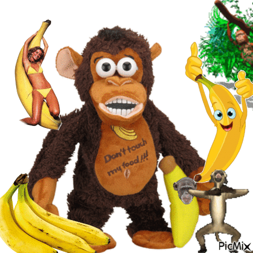 monkey - Бесплатный анимированный гифка