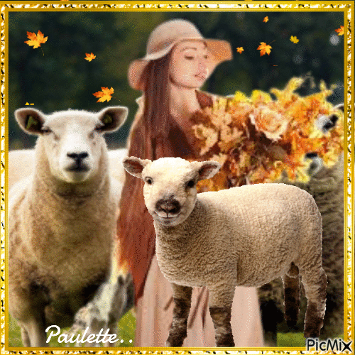 femme et ses moutons - Δωρεάν κινούμενο GIF