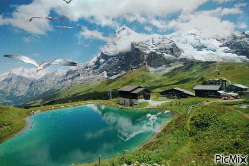 Suisse - Free animated GIF