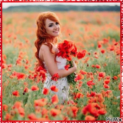 Femme avec coquelicots - Free animated GIF