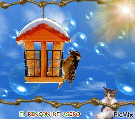 gato cazando ave - 無料のアニメーション GIF