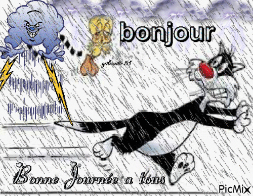 bonjour - Zdarma animovaný GIF