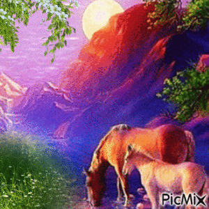 Pferde - GIF animé gratuit