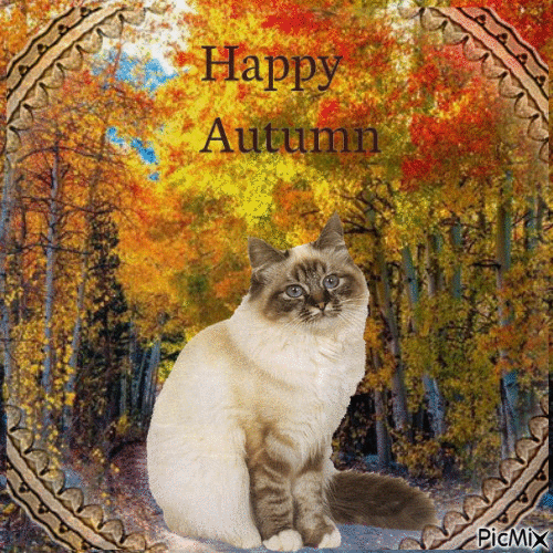 Herbst automne autumn - Animovaný GIF zadarmo