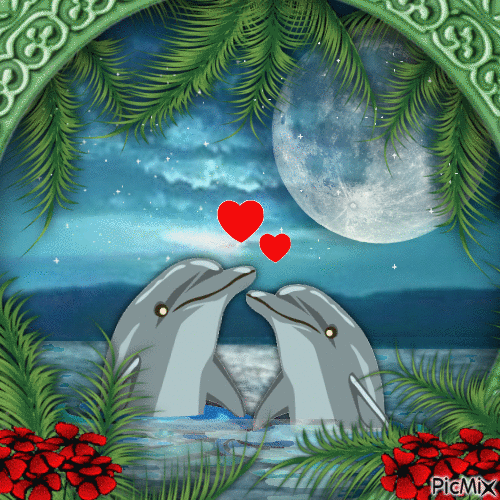 Dolphins - GIF animate gratis