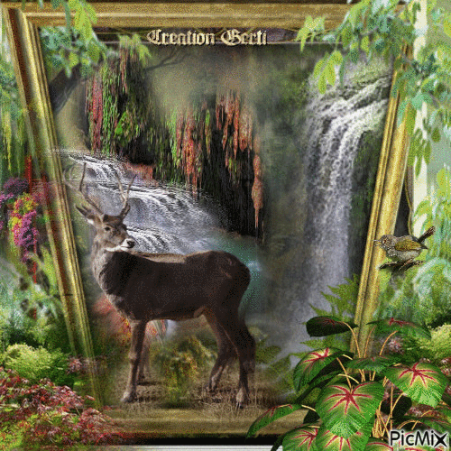 Deer at the waterfall - 無料のアニメーション GIF
