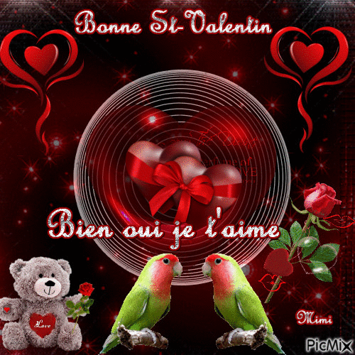 Bonne St-Valentin - Zdarma animovaný GIF