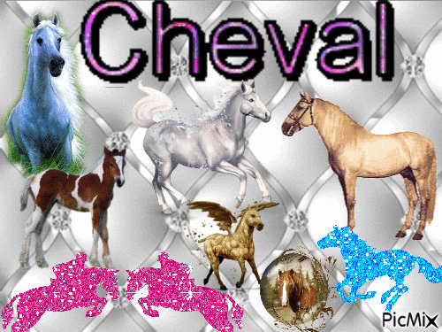 les chevaux - Free animated GIF