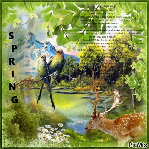 Spring - zdarma png