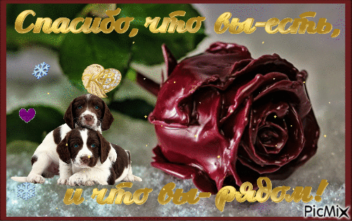 открытки Анимированная открытка "Роза роза на снегу анимация" - Ingyenes animált GIF