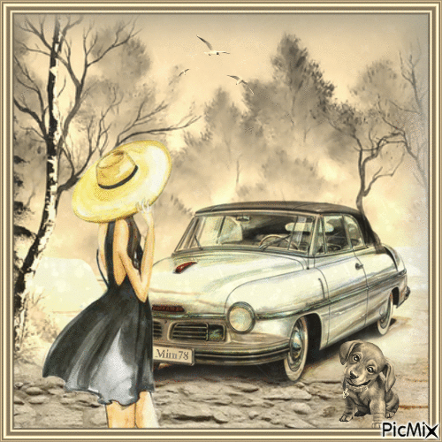 femme et sa voiture - Animovaný GIF zadarmo