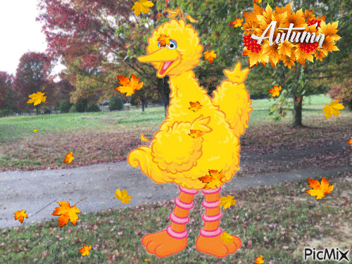 Big Bird Autumn - Безплатен анимиран GIF