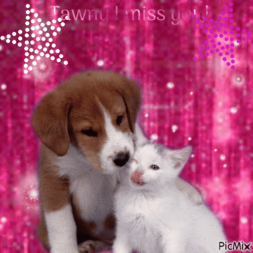 Tawny I miss you.... - 免费动画 GIF
