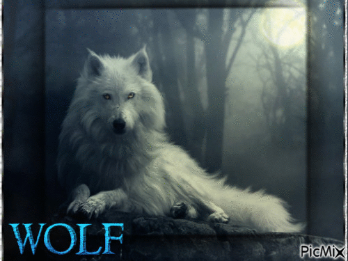 Wolf - Gratis geanimeerde GIF