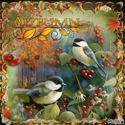 Automne oiseaux - Free animated GIF