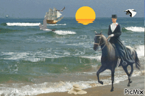 Balade au bord de la mer - Zdarma animovaný GIF