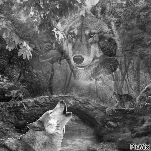 wolf - Zdarma animovaný GIF