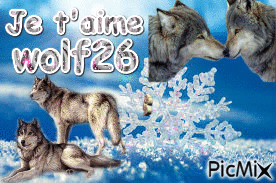 Pour Wolf26 je t'aime!! - GIF animé gratuit