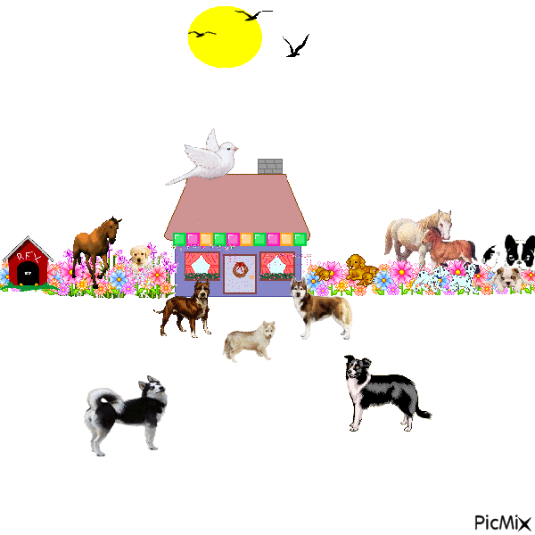 les  chien sereveille la maison - Free animated GIF